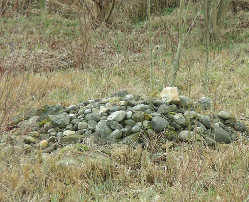 Kommunales Inventar der Biotope ohne Ortsteil Büchslen Gemeinde Murten Inventar der geschützten Biotope Objekt Nr.