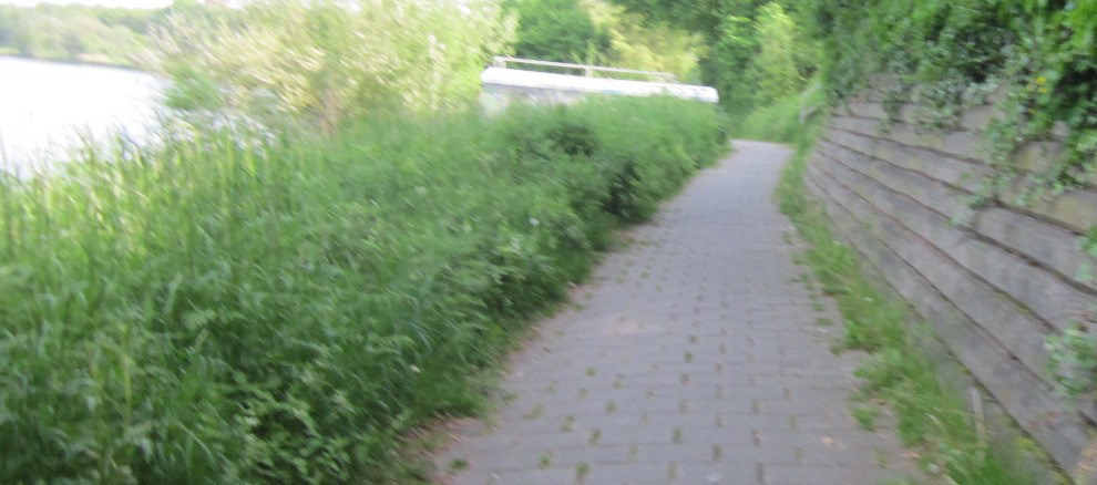 Bild 26: Zu schmaler bzw. zugewucherter Radweg.