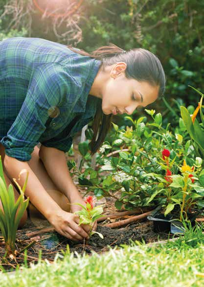 Florabella Blumenerde aus nachwachsenden Rohstoffen ist gebrauchsfertig zum Pflanzen und eignet sich optimal für das Topfen von Zimmerpflanzen, Balkonpflanzen sowie die Anzucht von Gemüse in Töpfen
