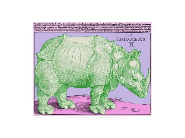 Einzelansicht: Motiv und Blatt - Rhino 7 Einzelansicht: Motiv und Blatt - Rhino