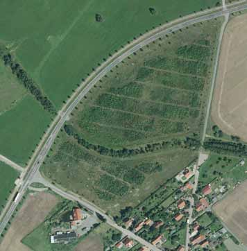 Aufforstung in Großpösna, Ortsteil Dreiskau- Muckern: 2005 wurden auf der zuvor landwirtschaftlich genutzten Fläche heimische und standortgerechte Laubgehölze angepflanzt.