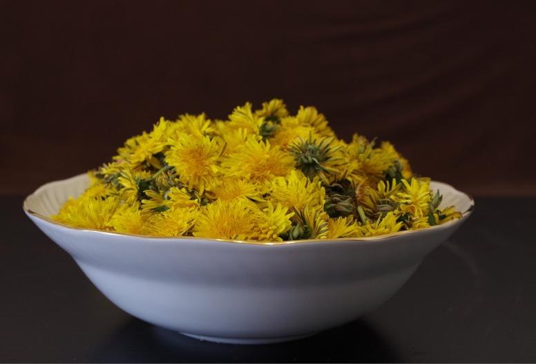 Löwenzahn-Mangold-Salat 4 Handvoll junge Löwenzahnblätter 100 g kleiner Blattmangold 80 g Portulak 1