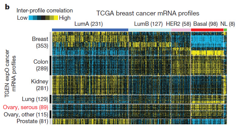 Genomische Ähnlichkeiten zwischen BLBC und sovca Cancer Genome Atlas Network et al.