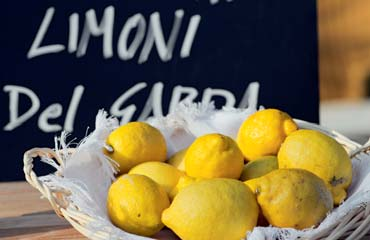 Gardasee-Zitrone Die berühmten Limonaie Goethe schwärmte vom»land, wo die Zitronen blühen«.