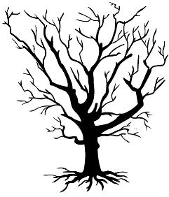 Wurzeln: Die Wurzeln verankern den Baum im Boden und nehmen Mineralstoffe und Wasser aus dem Boden auf. Blätter: Die Zweige tragen die Nadeln oder Blätter.