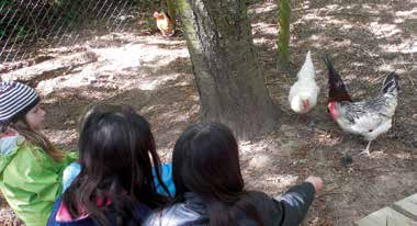 28 April Veranstaltungskalender 2017 Ferien Mi 12.04.17 10-13 Uhr Rund ums Huhn für Kinder ab 6 Jahren Wie leben eigentlich Hahn und Henne und was gibt es Interessantes über das Ei zu erfahren?