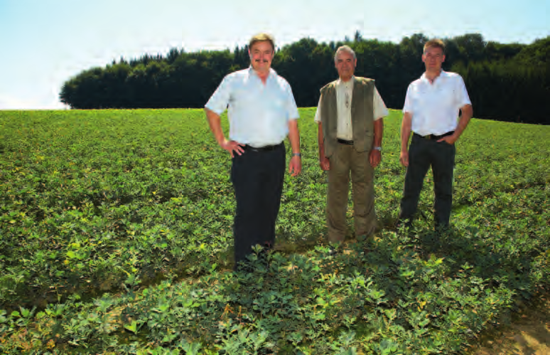 Reinhold, Alfons und Hubert Sailer im Stieleichensaatbeet 1/0 Sehr geehrte Kunden, die Sailer Baumschulen GmbH produziert bereits das 3. Jahrzehnt Qualitätspflanzen für Ihren Wald.