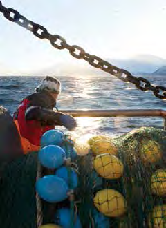 Matthias Keller: Verbraucherinformationen für Seafood - ein aktueller Einblick... Lückenlose Transparenz und Rückverfolgbarkeit mit ftrace... Zertifizierungen und Nachhaltigkeitssiegel im Überblick.