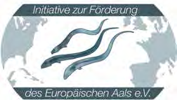 Neuausrichtung der Initiative zur Förderung des Europäischen Aals e. V. Ronald Menzel Die von Fischern, Aalräuchereien und Händlern am 10.