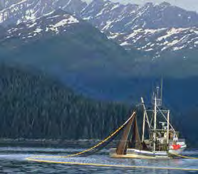 Für Alaska sind die Zukunft der Seafood-Bestände und der Umwelt wichtiger als unmittelbare Möglichkeiten der Berufsfischerei.