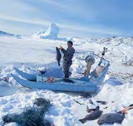 Im Sommer wird der Fang mithilfe von kleinen Booten eingeholt, während die Fischer im Winter mit Hundeschlitten auf die vereisten Fjorde fahren, dort Löcher in das dicke Eis