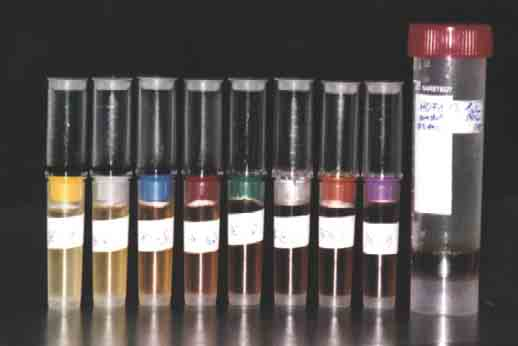 Zunächst wurden Fraktionierungen der Originalprobe HOFA3 und Fraktionierungen der Probe nach Einzelelement-Dotierung mit Kupferionen im Konzentrationsbereich zwischen,5 und 3 mmol Cu 2+ /g DOC