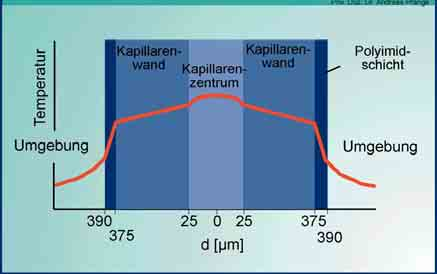 Abbildung 38: Verlauf des Temperaturgradienten innerhalb der Kapillare [6] Für gute elektrophoretische Trennungen sollte der Temperaturgradient durch Kühlung der Kapillare gering gehalten werden.