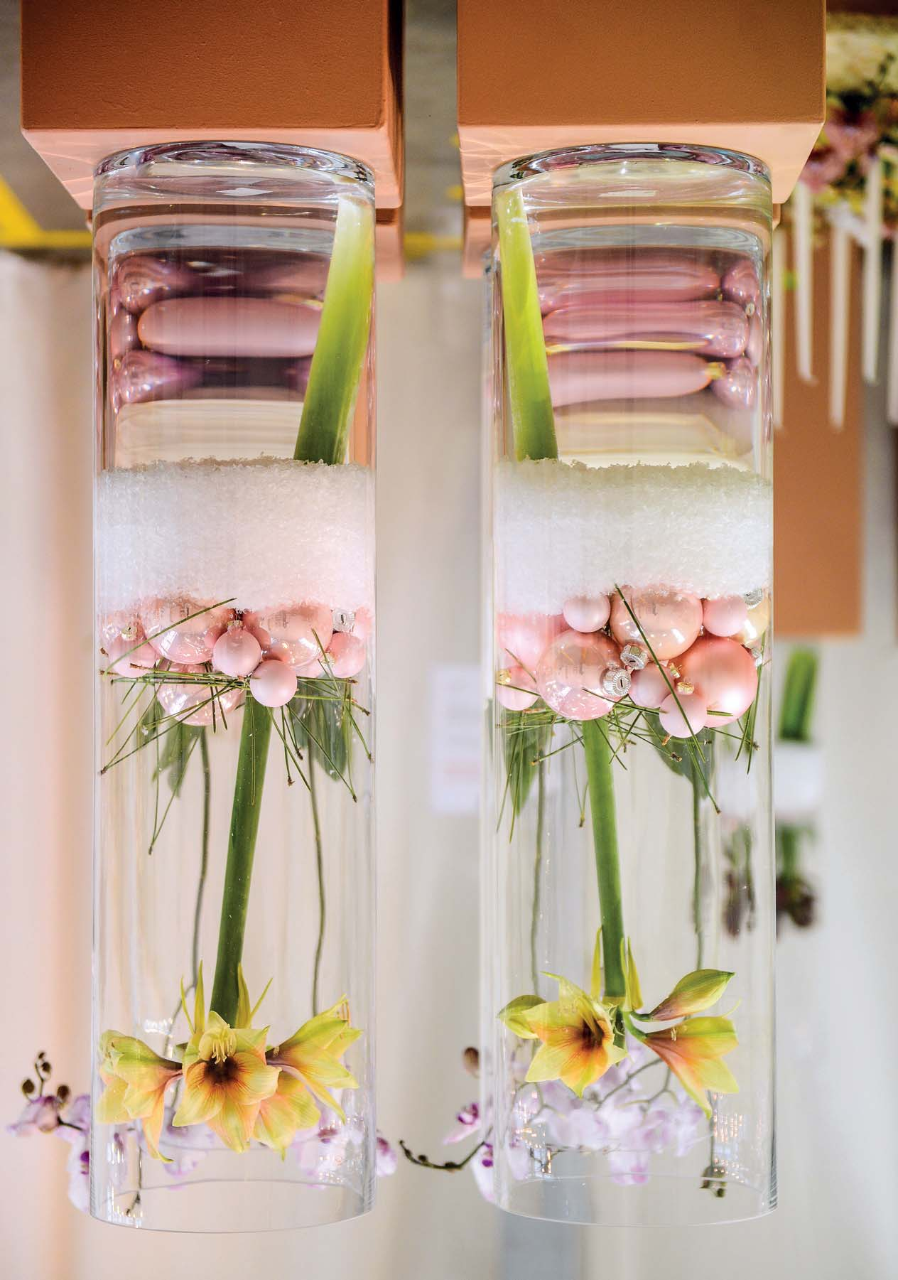 Die rosa - farbenen Kugeln am Boden des Gefäßes nehmen die Zartheit der Orchideenblüten wieder auf Ausgabe 12/2015, Seite 30 www.gundv.