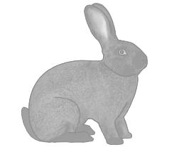 Allgemeine Beschreibungen Wichtige Merkmale: Der Urahne sämtlicher Kaninchenrassen ist das Wildkaninchen.