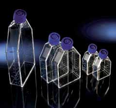 . Life Science Zellkultur/Kultivierung Zellkulturflaschen EasYFlask, behandelt, PS/PE-HD, steril GENERAL CATALOGUE EDITION 9 Zellkulturflaschen mit Kulturoberflächen von - cm² mit Nunclon Δ oder bis