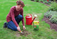 2 Ausstreuen: Rasenreparatur LückenLos oder TerraVital Nachsaat Rasen in dünner Schicht ausstreuen.