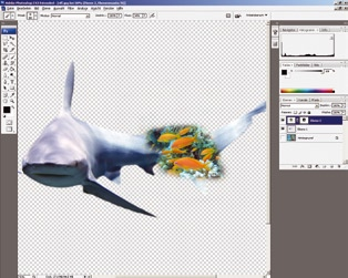 164 Bildbearbeitung - Fotocollagen dem Hai, obwohl diese eigentlich weiter vorne positioniert sind.
