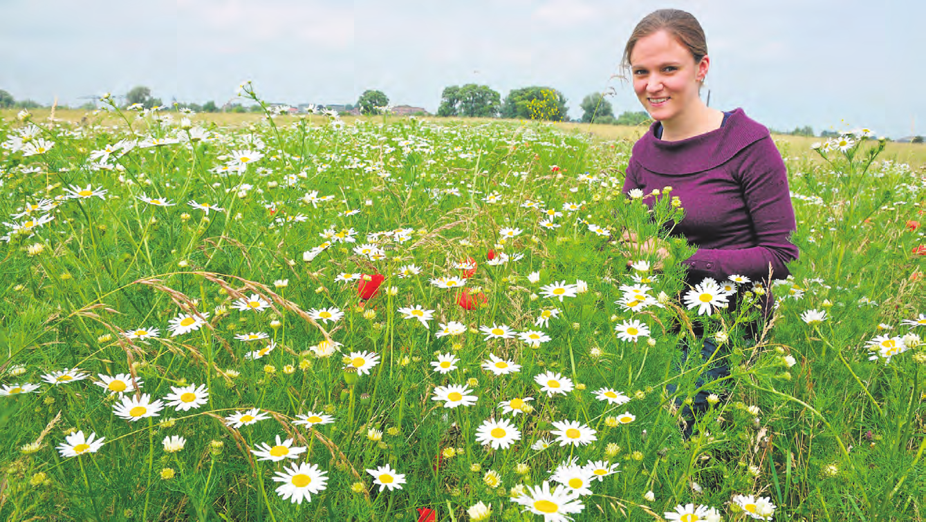 Landschaftsökologin Mareike Büdding freut sich, dass die Saat so gut aufgegangen ist. Für weitere Projektmaßnahmen sind Flächen im Naturschutzgebiet Bienener Altrhein ausgewählt worden.