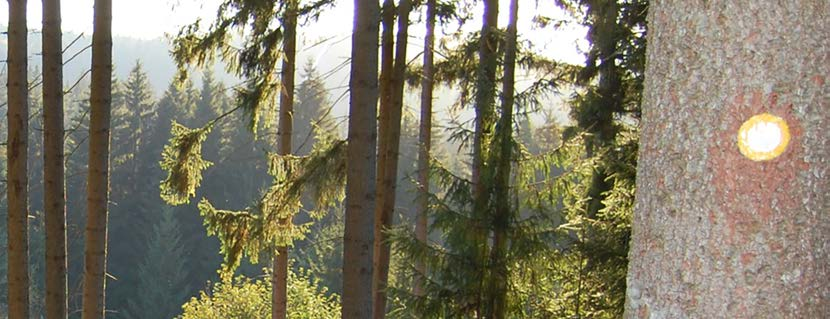 Urlaub im Fichtelgebirge 7 ÜBERNACHTUNGEN Genießen Sie wunderschöne Urlaubstage im Heilklimatischen Kurort Bischofsgrün mit seinen naturbelassenen Wäldern und bizarren
