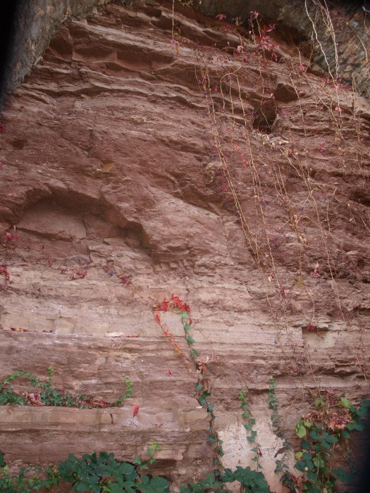 Die weicheren Sandsteine, die am Burgberg selber anstehen, sind schon stärker verwittert, während der Rhyolith, aus dem Bad Kreuznacher Rhyolithmasiv stammend, auf seiner Schauseite nur geringe