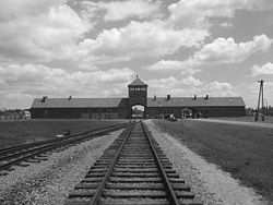 3. AUGEWÄHLTE KONZENTRATIONSLAGER-NÄHERE BESCHREIBUNG Um dem Leser eine bessere Einsicht in die Problematik der KZ zu ermöglichen, wählte ich diese zwei Lager (KZ Auschwitz-Birkenau, KZ Dachau).