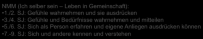 aktuellen Lehrplan Voraussetzung für gelingende Schullaufbahn Erleichterung der Beziehungsgestaltung