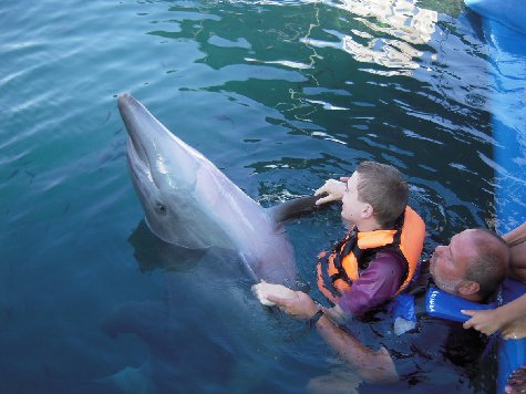 Stefan Glatzl mit Begleitung seiner Familie seine ärztlich empfohlenen Delphintherapie in der Türkei. Es war für Stefan eine besondere Erfahrung und ein sehr emotionales Erlebnis.