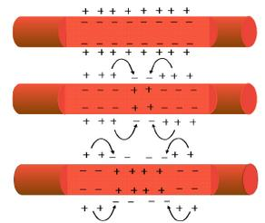 инактивационих врата натријумових канала и овај процес је спор. Калијумови канали се отварају после 0,1 ms, што одговара затварању натријумових канала.