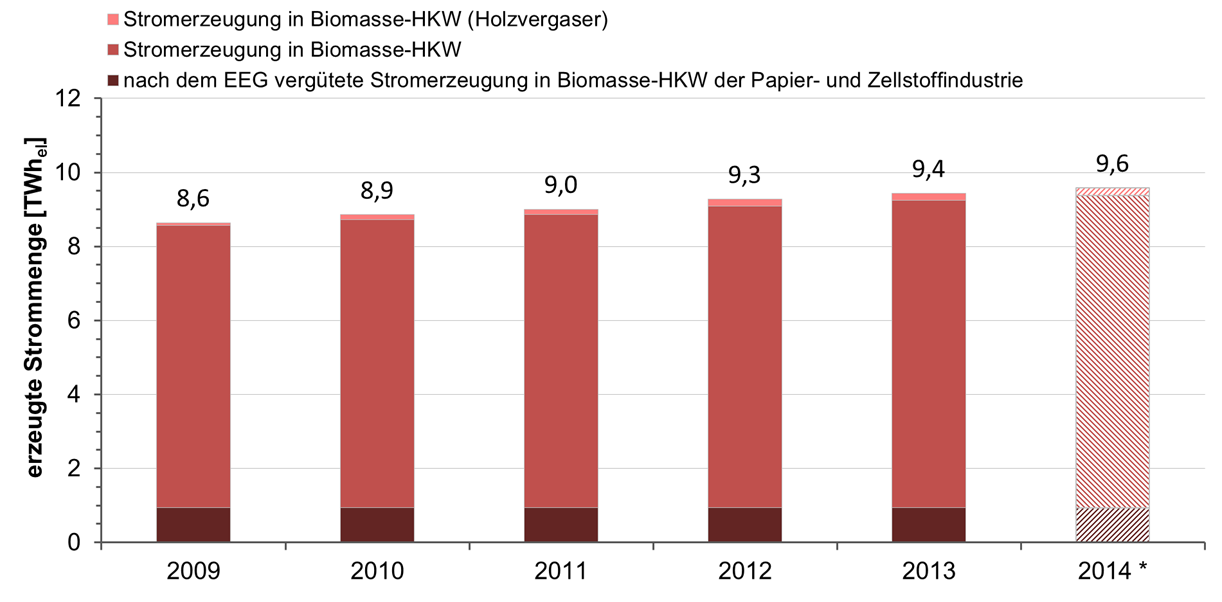 3 Feste Biomasse elektrischen Leistung von rund 13 MWel prognostiziert. Für das Jahr 2014 wird eine Fortsetzung dieses Trends erwartet.