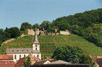 2010 - ab 8:00 Uhr Eintreffen auf dem Weingut Wengerter, Himmeltaler Str.
