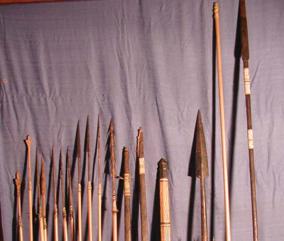 Abb. 14: Konvolut Souvenire von Emmermachers Amazonas-Expedition: 11 Pfeile (Länge:122-144 cm), zwei Bögen (Länge: 137,5 und 131 cm), ein Kampfschwert (Länge: 125 cm), drei 3 Speere (Länge: 188 / 182