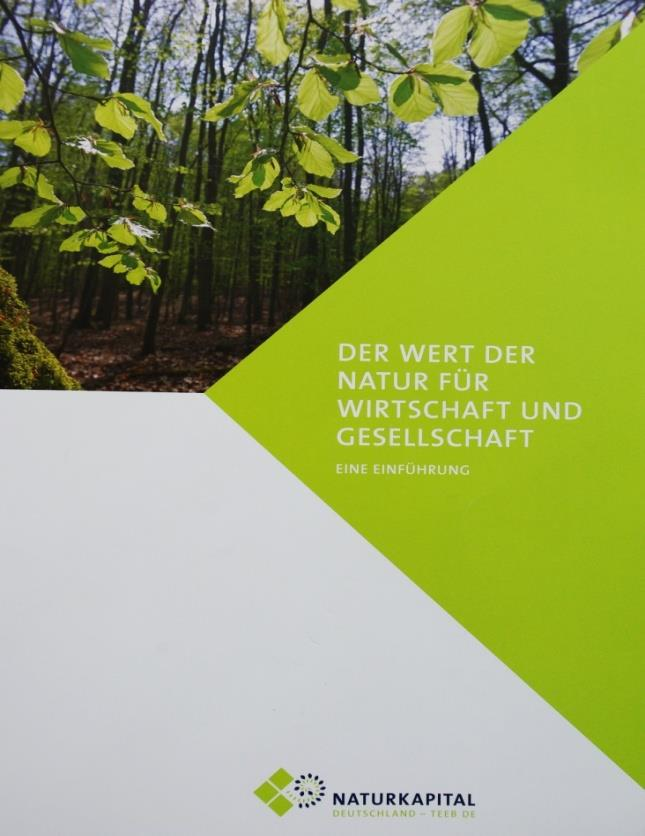 Geschichte und Meilensteine Naturkapital Deutschland TEEB DE 2012