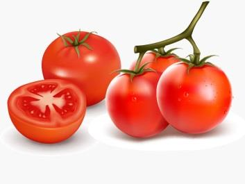 Einkaufsmengen in kg je Privathaushalt Die zehn meistgekauften Gemüsesorten 2010 in Deutschland 10 8 6 10 Mit 10 kg je Privathaushalt sind Tomaten im Jahr 2010 die meistgekaufte Gemüsesorte in