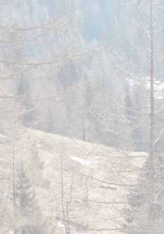 Der Weiterweg über DASS DER HÜTTENAUFSTIEG ZUR ESSENER den recht steilen Sommerweg treibt den ROSTOCKER-HÜTTE WEITGEHEND Schweiß aus allen Poren. Schneefelder und SCHNEEFREI SEI.