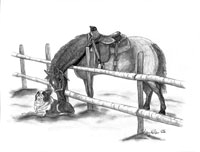9 Prüfung 03 Horse-und-Dog-Trail Gemeinsames Absolvieren einer Gehorsamkeitsprüfung mit verschiedenen Aufgaben, wie An- und Ableinen des Hundes vom Pferd aus Ablegen des Hundes Bei-Fuß-Gehen des