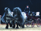 Ende zeigt sein riesiges begehbares Pferd, im Experten- Forum geht es fachmännisch um Hufrehe und Horsemanship, die Fachleute für Hufbearbeitung demonstrieren ihre Künste.