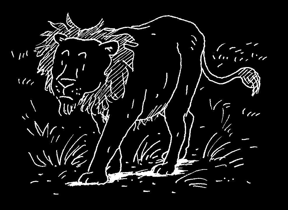 Der Löwe Den Löwen nennt man auch den König der Tiere. Löwen sind zusammen mit den Tigern die größten Raubkatzen der Welt. Sie können sehr laut brüllen. Löwen leben in Afrika oder Indien.