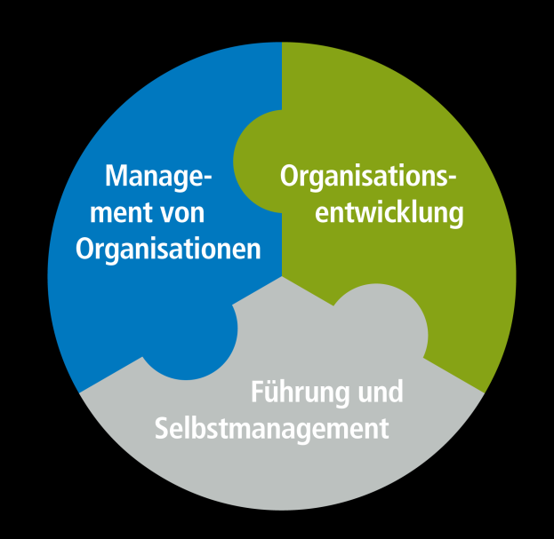 STUDIENINHALTE Das Studium umfasst drei verschiedene Kompetenzfelder: Management von Organisationen Führung und Selbstmanagement Organisationsentwicklung Während des gesamten Studiums steht die