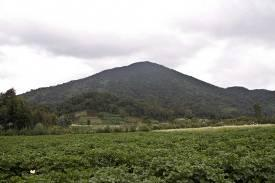 12. Tag: FAHRT NACH RUANDA Nach dem Frühstück fahren Sie nach Ruanda. Ruanda wird liebevoll auch das "Land der tausend Hügel" genannt.