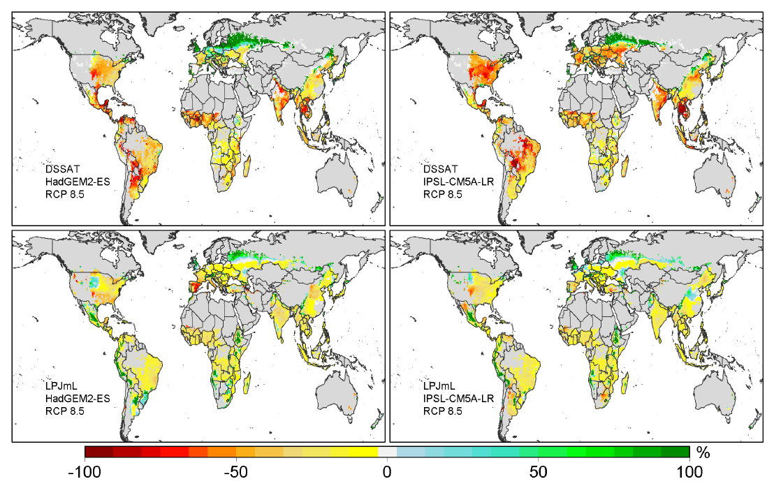 Klimawirkungen auf Ernteerträge von Mais in 2045