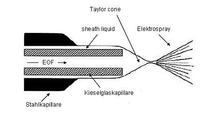 4 Kopplung von Kapillarelektrophorese und Massenspektrometrie Abb. 4.2-2: Mischung von sheath liquid und BGE in der Taylor cone [50].