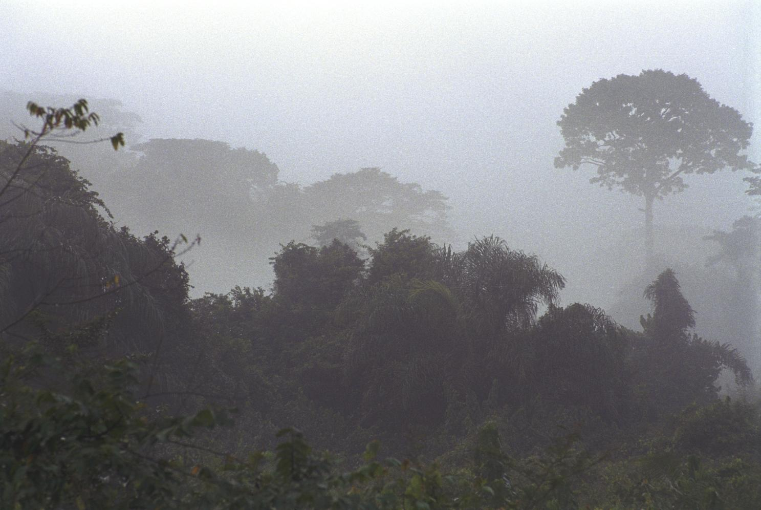 Ländliche Wirtschaftsentwicklung im Südwesten Das Biosphärenreservat Taï erstreckt sich im Südwesten der Côte d Ivoire und