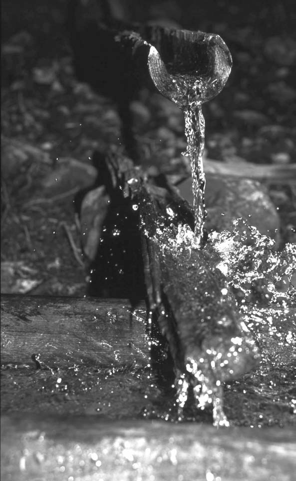 Wir bitten dich, allmächtiger, ewiger Gott, schau gnädig auf deine Kirche und öffne ihr den Brunnen der Taufe. Dieses Wasser empfange vom Heiligen Geist die Gnade deines eingeborenen Sohnes.