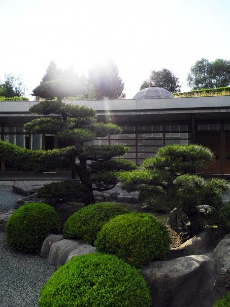Seite 8 von 13 Die Bonsai-Bäume im Japanischen Garten Kulinarisch hat das Park Weggis natürlich ebenfalls einiges zu bieten: Annex An der kulinarischen Spitze steht das Gourmetrestaurant in dem sich