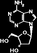 Purin- -glycosid