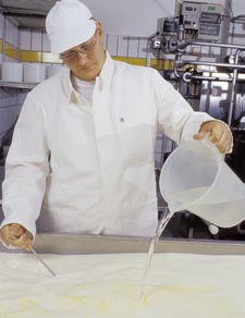 Das Prinzip der Käseherstellung beruht auf einem Vorgang, den jeder selbst beobachten kann, wenn Milch sauer wird und gerinnt.