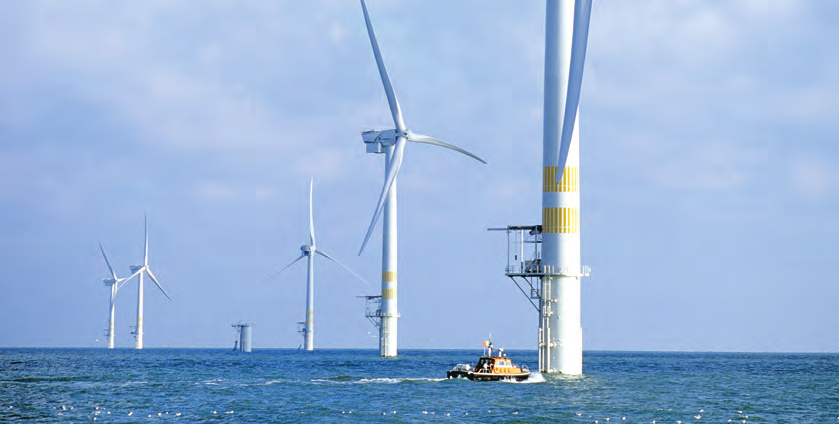 Weitere Informationen: www.bfn.de/habitatmare Bei der Genehmigung von Offshore-Windparks nimmt das BfN zu deren Auswirkungen auf die Meeresumwelt Stellung.