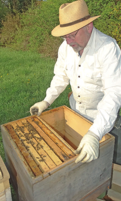Mein München: Bienen schützen Mittwoch, 29. 4. 2015 Nr. 18 um einen Honigraum nicht lohnt. Neben dem Norsema-Pilz ist es vor allem die Varroamilbe, die die Bienen dahinrafft.