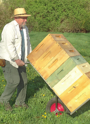 Ich sehe das als eine pädagogische Aufgabe. Inzwischen summt es schon gewaltig vor den Bienenstöcken. Bock fährt mit seiner Arbeit fort. Die Bienen lassen ihn machen.